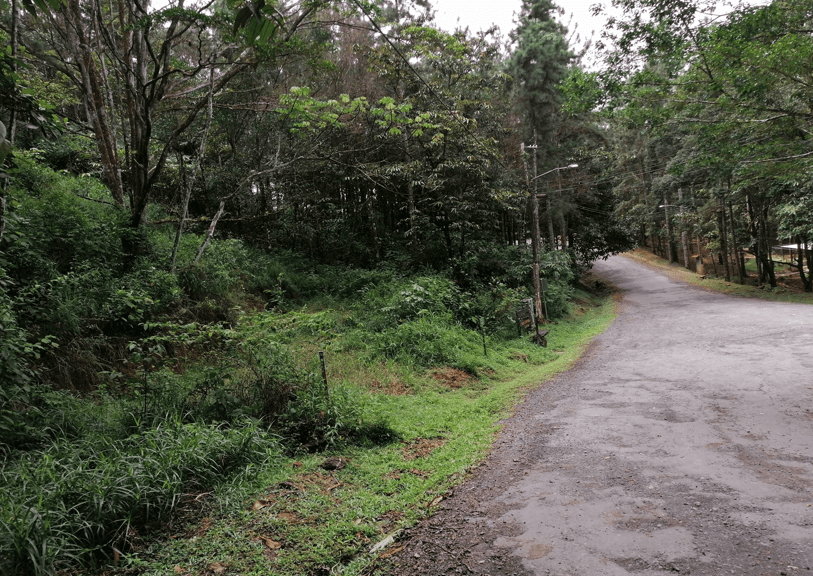 Lote de terreno en Urbanizacion Altos de Cerro Azul-image